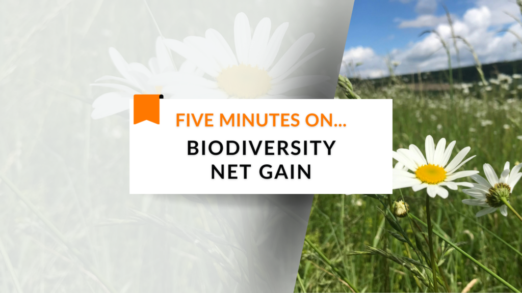 Five Minutes On… Biodiversity Net Gain